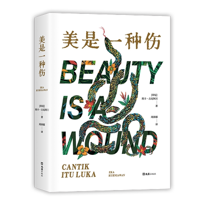 美是一种魔幻现实主义惊艳新经典