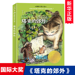 塔克的郊外 国际大奖小说升级版  学校图书馆 年度读物三四五六年级青少年儿童文学小说小学生课外书 阅读故事书新华正版