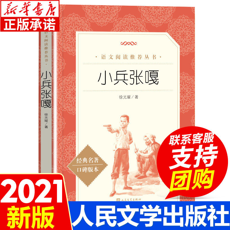 小兵张嘎儿童文学青少年课外读物