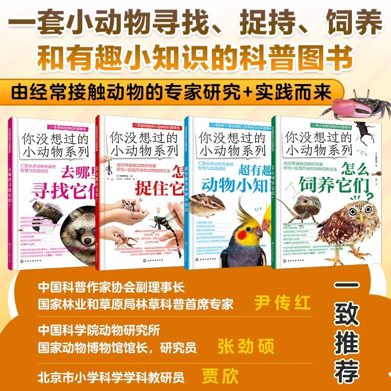 全4册 你没想过的小动物系列 怎么饲养它们 去哪里寻找它们 超有趣的动物小知识 怎么捉住它们 小学生动物知识图文科普读物 课外书