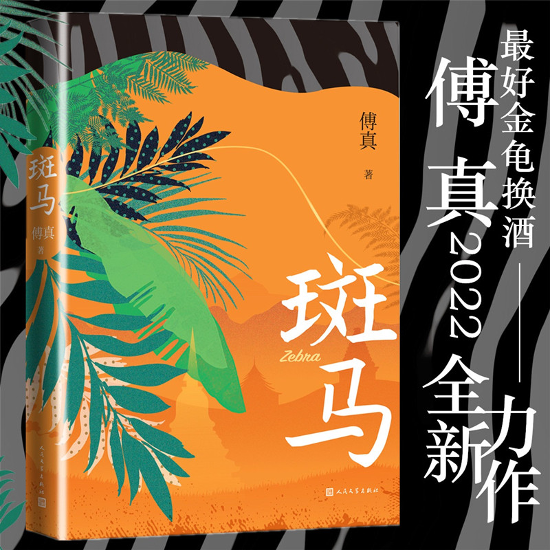 斑马傅真著旅行游记婚姻家庭藏地白皮书作者