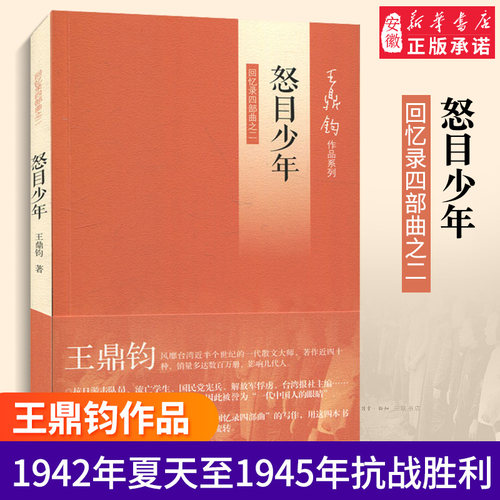 怒目少年（回忆录四部曲之二