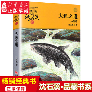 沈石溪动物小说升级完整版 全本6 15岁 包邮 文学三四五六年级小学生课外阅读书籍少儿文学故事畅销书籍全 大鱼之道 正版
