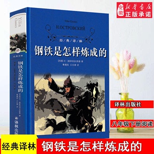 世界流传经典 精装 世界名著文学经典 傅雷家书 钢铁是怎样炼成 版 六七八年级初高中学生课外阅读 译林出版 正版 文学畅销书小说