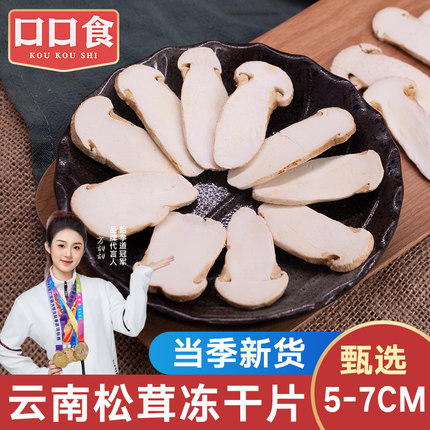 香格里拉冻干松茸片5-7cm云南特产野生菌松茸菇冻干片松茸菌干货