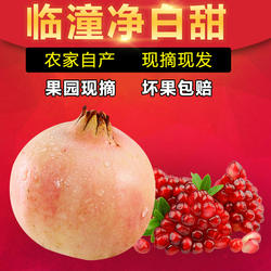 陕西临潼石榴10斤新鲜水果当季整箱大果时令应季孕妇硬籽甜石榴