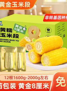 黄糯玉米段12段真空装免切新鲜低脂黏糯香甜东北黏苞米早餐非即食