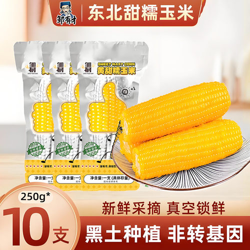 东北黄糯玉米棒真空包装早餐