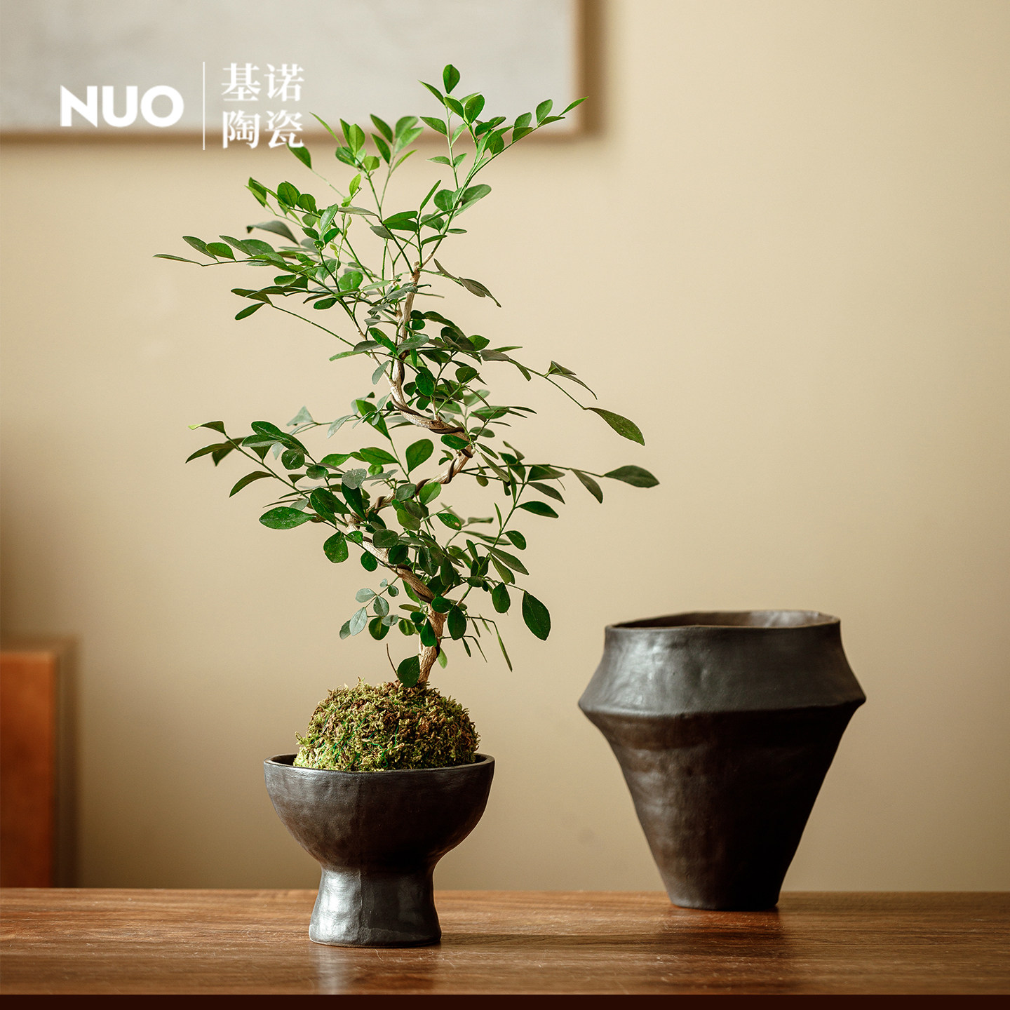 景德镇陶瓷花盆黑色多肉植物盆室内桌面陶土苔藓球兰花小盆栽造景