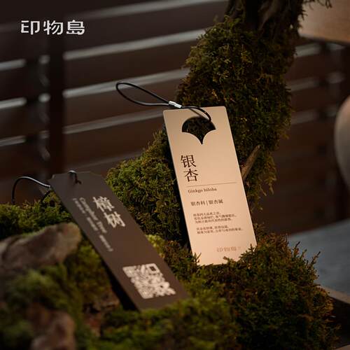 花草树木挂牌压克力树铭牌园林树牌编码标识牌古树名木介绍标志牌