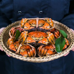 鲍阿姨熟醉蟹特大5两公4两母各4只即食罐装 花雕熟醉蟹8只礼盒装