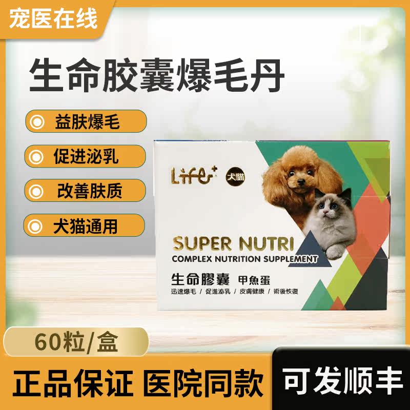 台湾鳖蛋爆毛丹60粒 虎扬life+生命胶囊狗狗猫咪用美毛粉爆毛粉在类目 宠物/宠物食品及用品, 猫/狗保健品中 - 来自Buy2taobao.com提供专业的淘宝代购服务