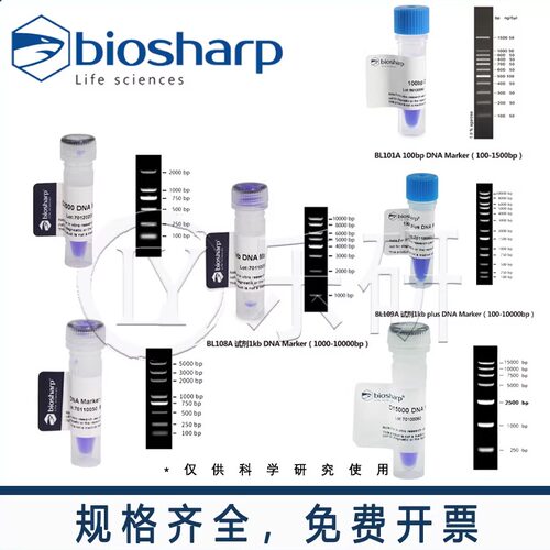 琼脂糖凝胶电泳DNA Marker100-1500bp/100-2000bp/100-5000bp包邮