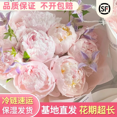 山东芍药鲜花牡丹重瓣花束鲜切花