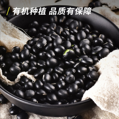 素养生活有机小黑豆绿心青仁东北