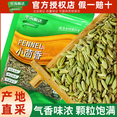 华海顺达小茴香广西产烧烤香料