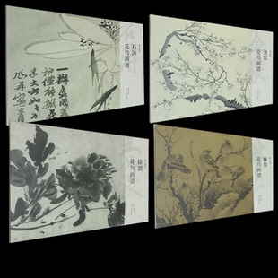 湖山书画 花鸟画谱4册编者 全新正版 9787575105033 国图书店
