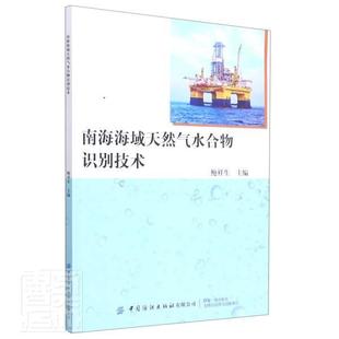 南海海域天然气水合物识别技术鲍祥生中国纺织出版 全新正版 社南海天然气水合物识别现货