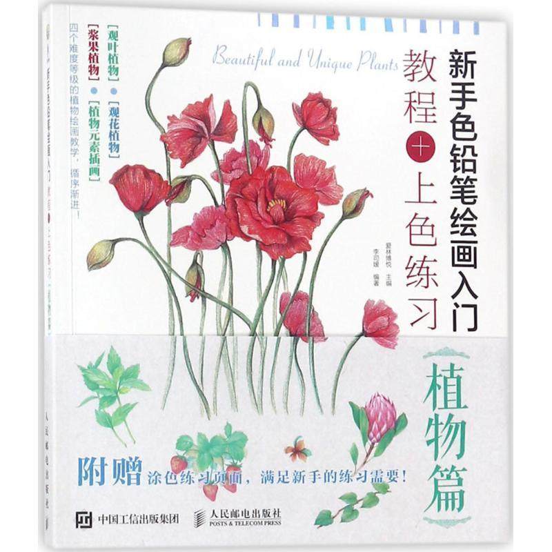 全新正版 新手色铅笔绘画入门:教程 上色练习:植物篇李司媛人民邮电