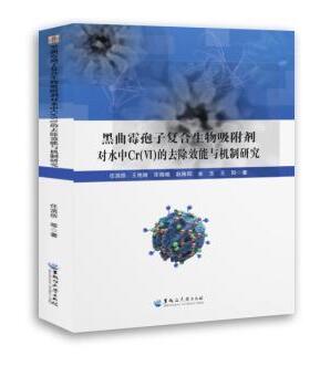 【国图书店】全新正版黑曲霉孢子生物吸附剂对水中重金属离子的去除效能与机制研究任滨侨，王艳丽，宋晓晓，赵路阳，金玉，王阳