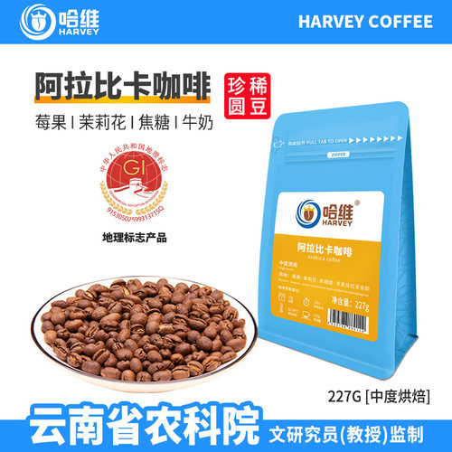 哈维云南阿拉比卡咖啡圆豆227g