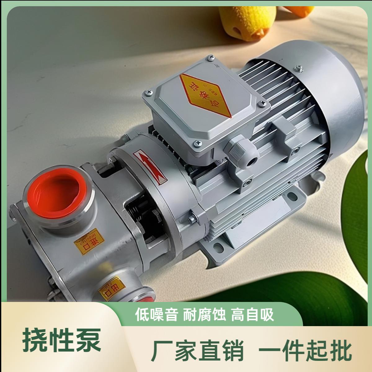 高粘度自吸挠性泵 不锈钢卫生级果汁果酱输送泵 RXB-20柔性挠性泵