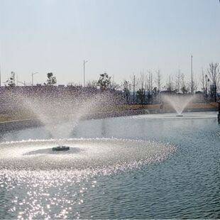 喷泉曝气机提升水体流动性,结合水生植物修复,恢复河道自净能力