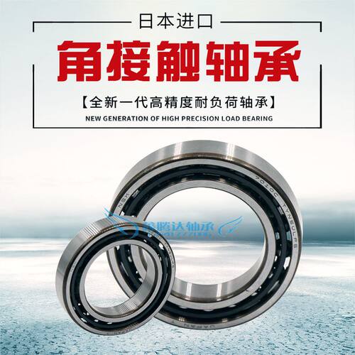 进口NSK 角接触轴承 7005 7006 7007 7008 7009 C/A/B/CTYNSULP4