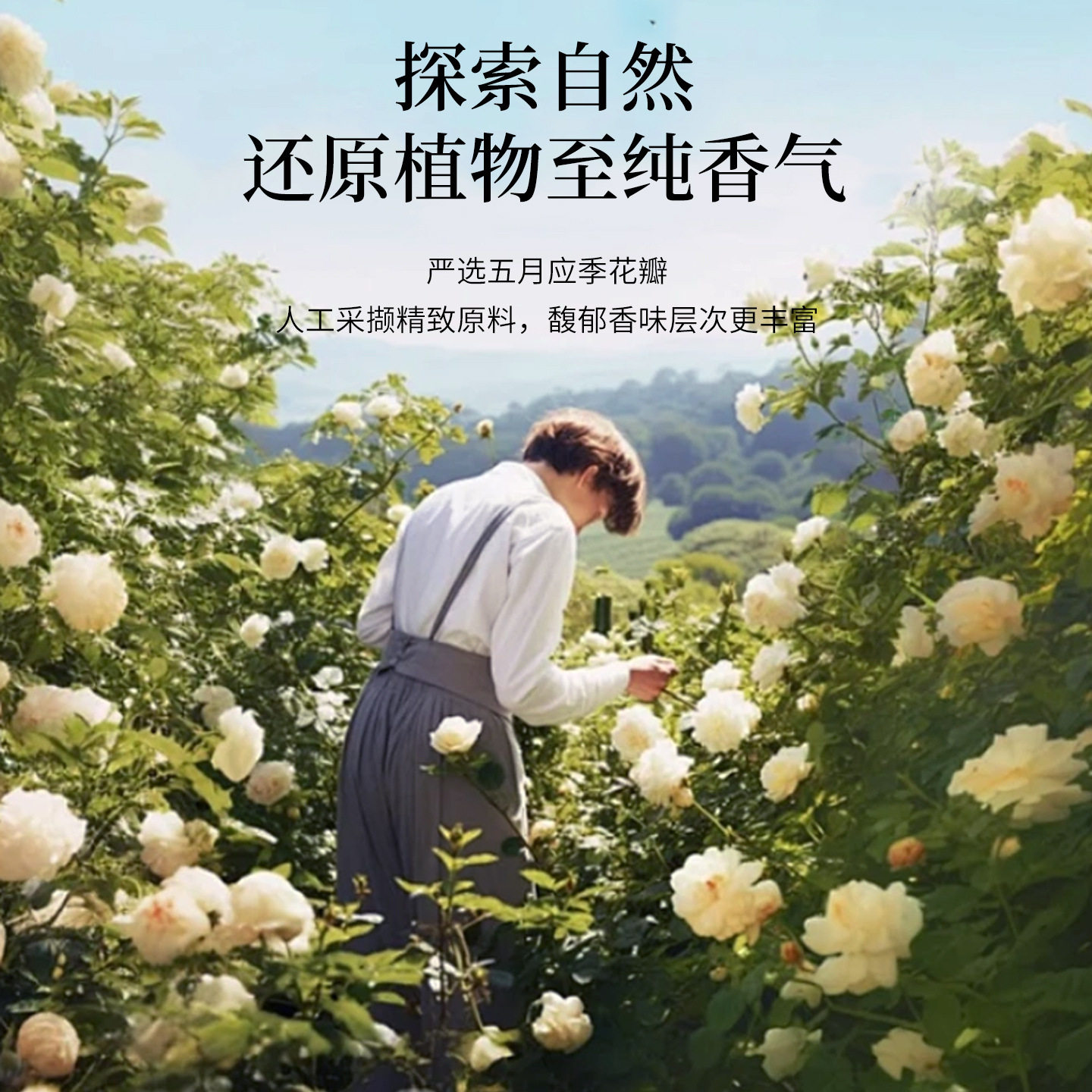 云山香薰汽车内香氛净化
