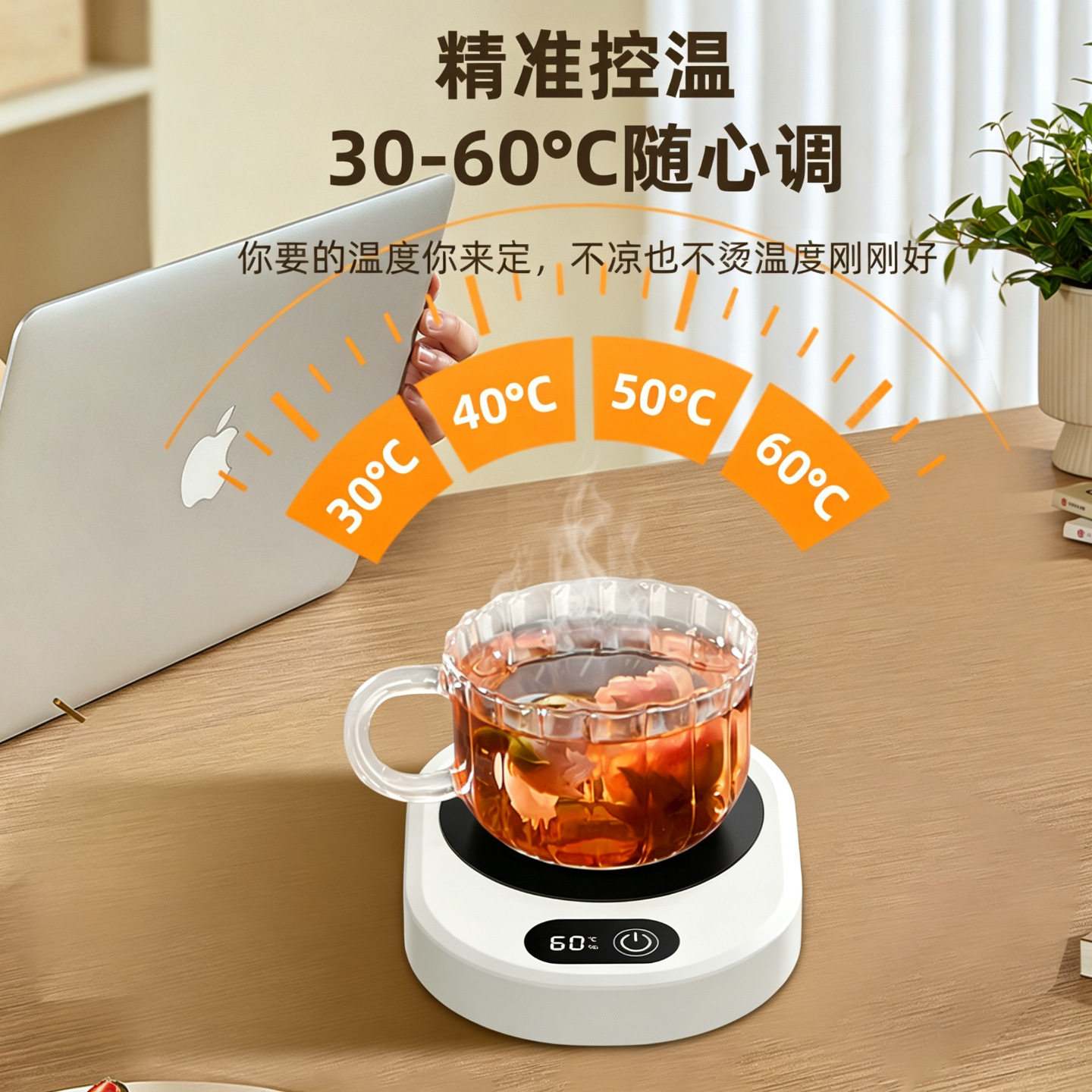 智能四档调温恒温加热杯