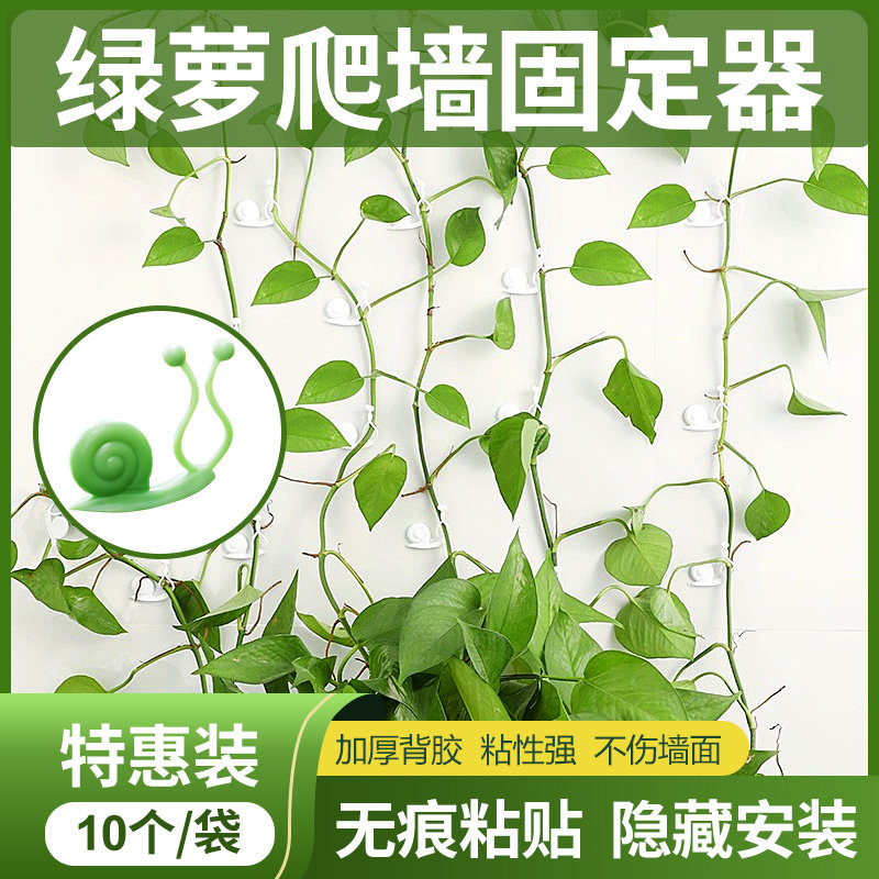 爬藤月季固定卡扣植物绿萝爬藤架绿植爬上墙神器花卉藤蔓专用型扣
