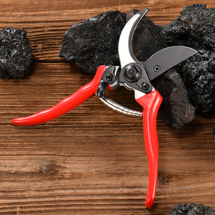 果树修枝剪树枝专用花艺花卉枝剪子剪枝园林工具花剪修剪园艺剪刀