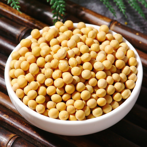 2025东北非转基因黄豆400g农家自种大豆打豆浆生豆芽专用小粒黄豆 - 封面