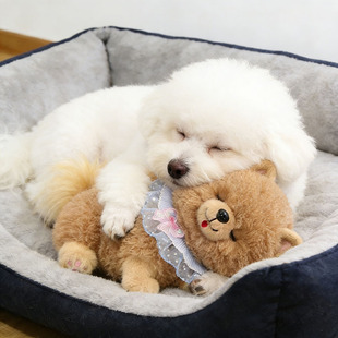 公狗发情交配玩具比熊狗狗发情期自嗨解闷消耗体力泻火玩偶陪伴侣