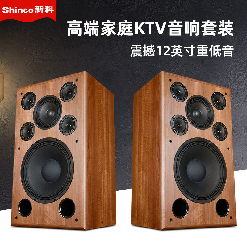 Shinco/新科4317卡拉ok音箱套装家用家庭卡拉ok音响一体机全套