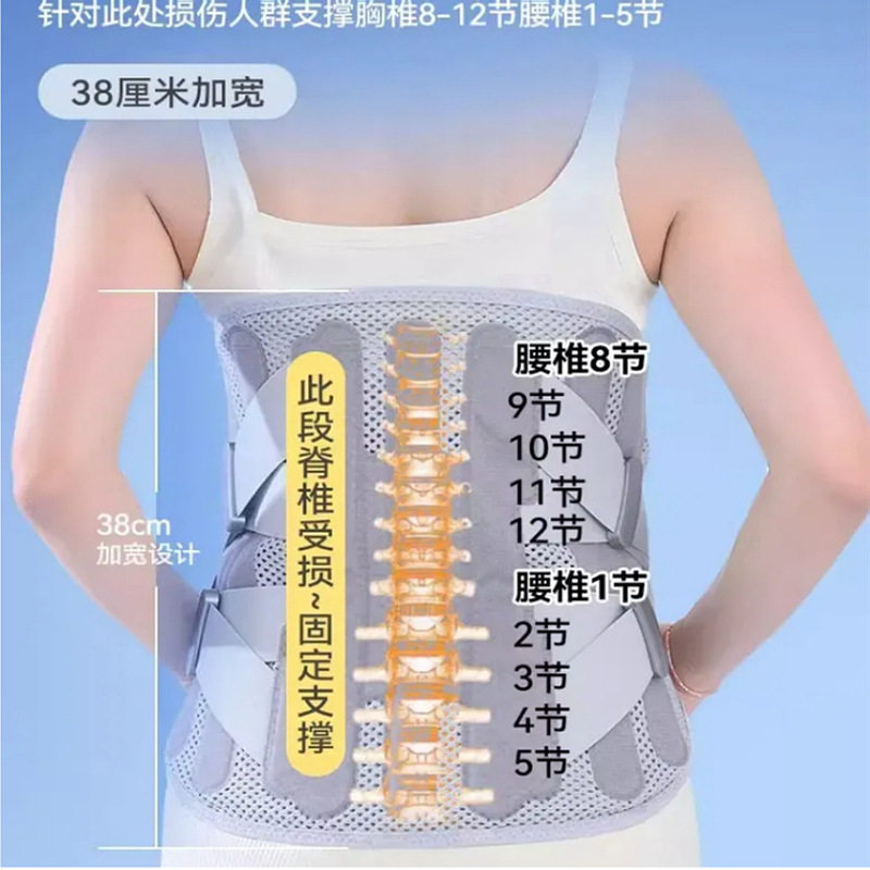 升级加宽加高护腰带钢板支撑男女士保暖腰椎术后收腹带固定腰托围