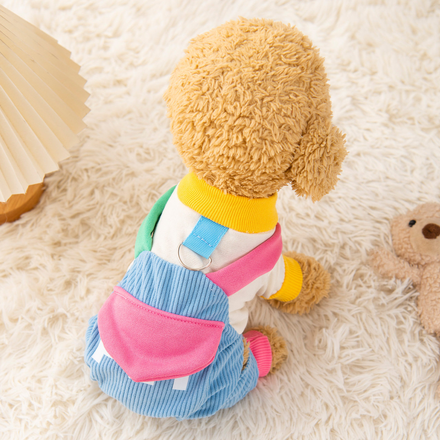狗狗衣服秋冬款宠物比熊
