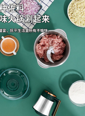 YX西稻绞肉机5升档调节6