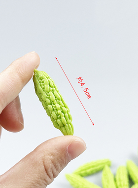 娃娃屋dollhouse配件微缩食玩场景摆件蔬菜配件迷你苦瓜模型大号