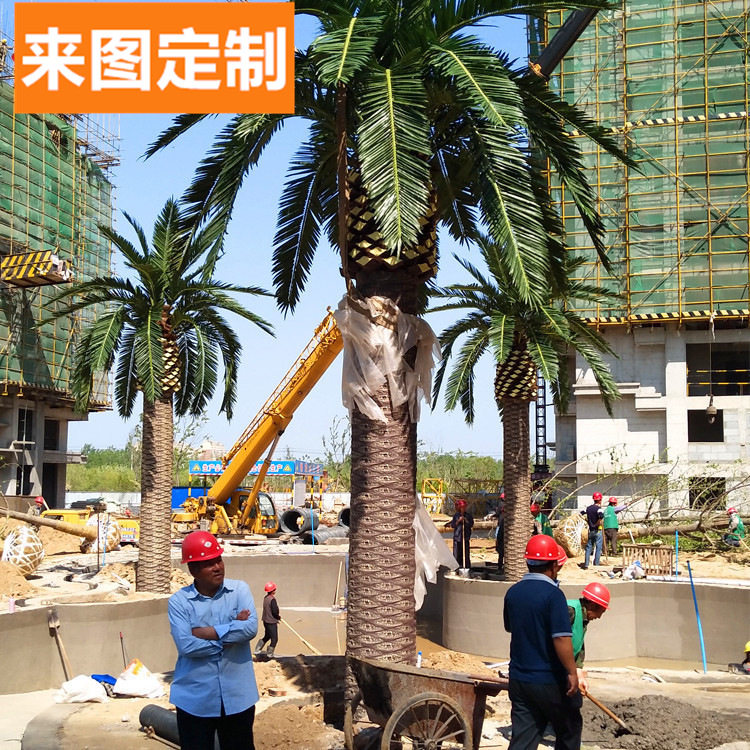 人造海枣树 小区绿化商场酒店装饰美化 玻璃钢海枣树各种仿真假树|msdalam kategori Aksesori rumah, pasu/bunga/bunga tiruan/perhiasan imitasi, simulasi tumbuhan bonsai - dari Buy2taobao.com untuk memberikan perkhidmatan ejen Taobao profesional membeli