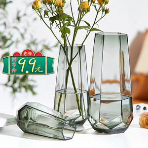 创意简约ins玻璃花瓶水养富贵竹