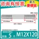 M12*120 [5]