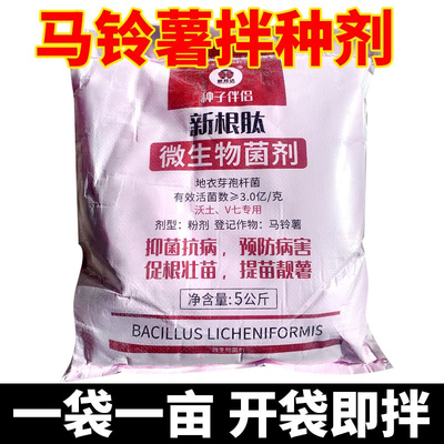 新根肽马铃薯拌种防治黑胫病疫病