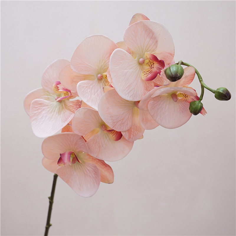 仿真花7头手感保湿蝴蝶兰