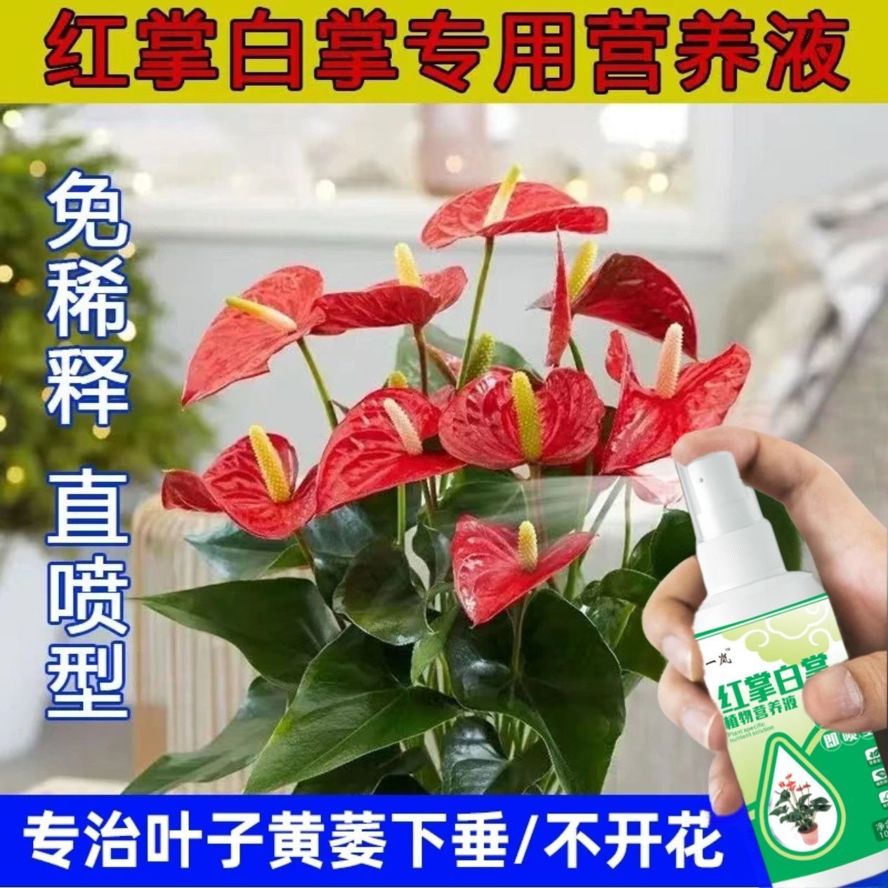 白掌红掌营养液绿植通用营养液养花营养液一帆风顺专用肥料免稀释