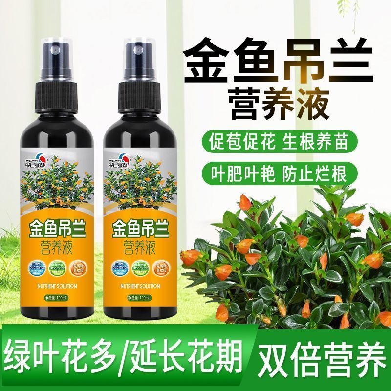 金鱼吊兰营养液催开花发芽防黄叶烂根黑叶壮苗通用肥促苞促花