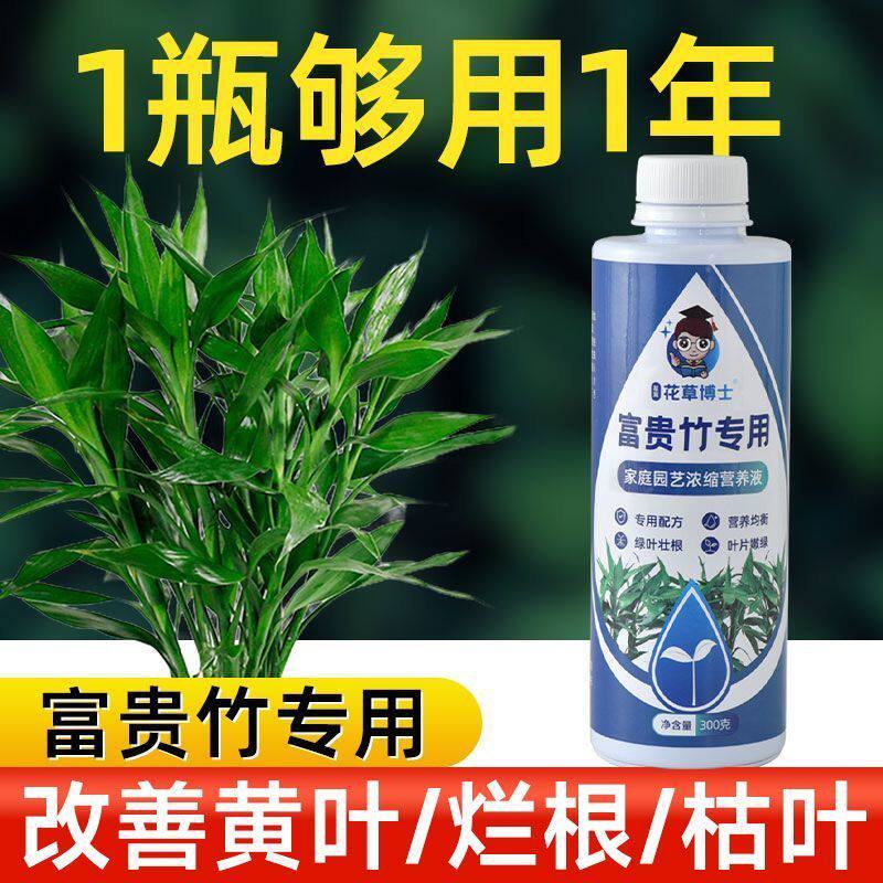 2026富贵竹营养液专用叶黄家用植物生根花肥水养土养肥料改善黄叶