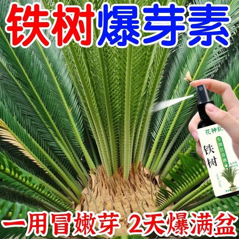 一喷疯长】铁树专用营养液叶子发黄干枯卷叶促生根发芽生长液体肥
