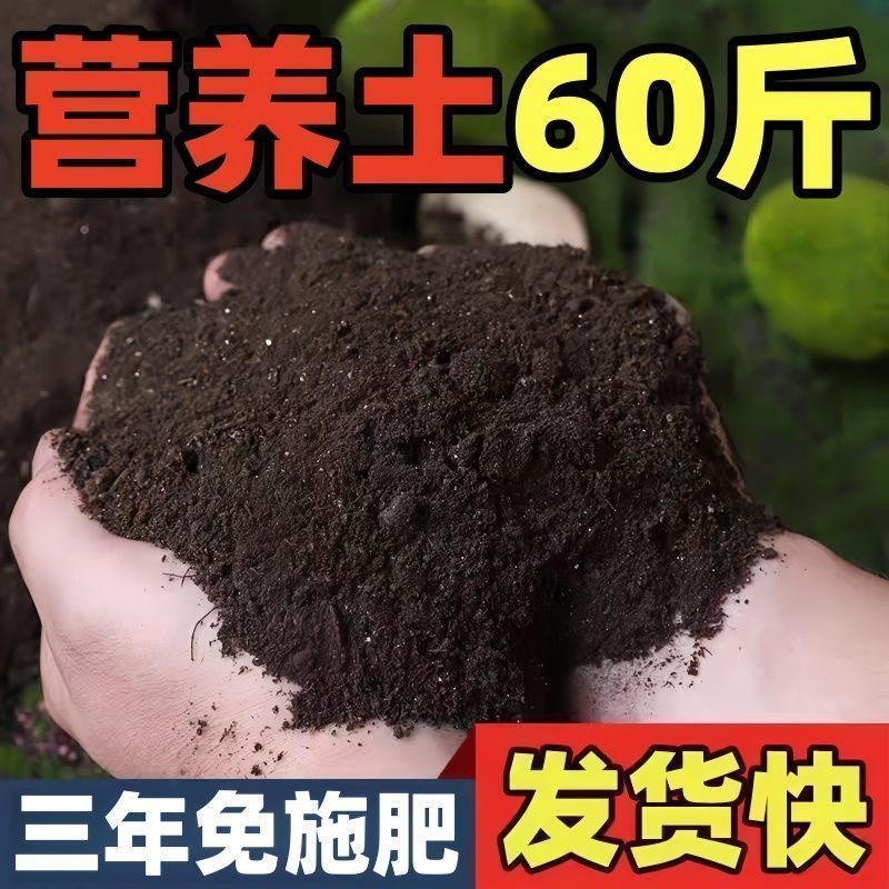 营养土养花通用营养土种菜专用种花土壤有机肥种菜营养土姜蒜韭菜