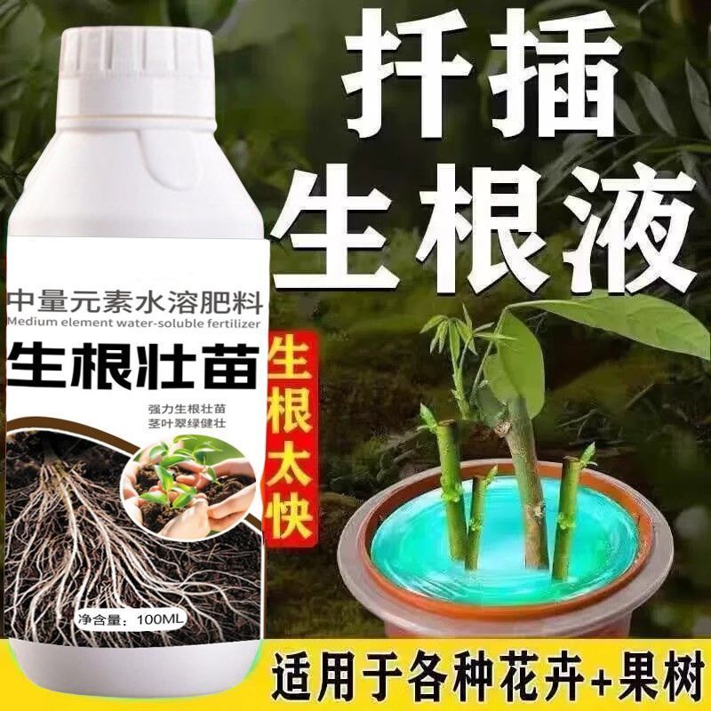 2026强力生根液植物扦插生根剂快速生根壮苗扦插移栽专用花卉植物